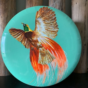 Vintage Bird of Paradise Collectible Tin Seafoam Green - Retro Kitchen Decor
