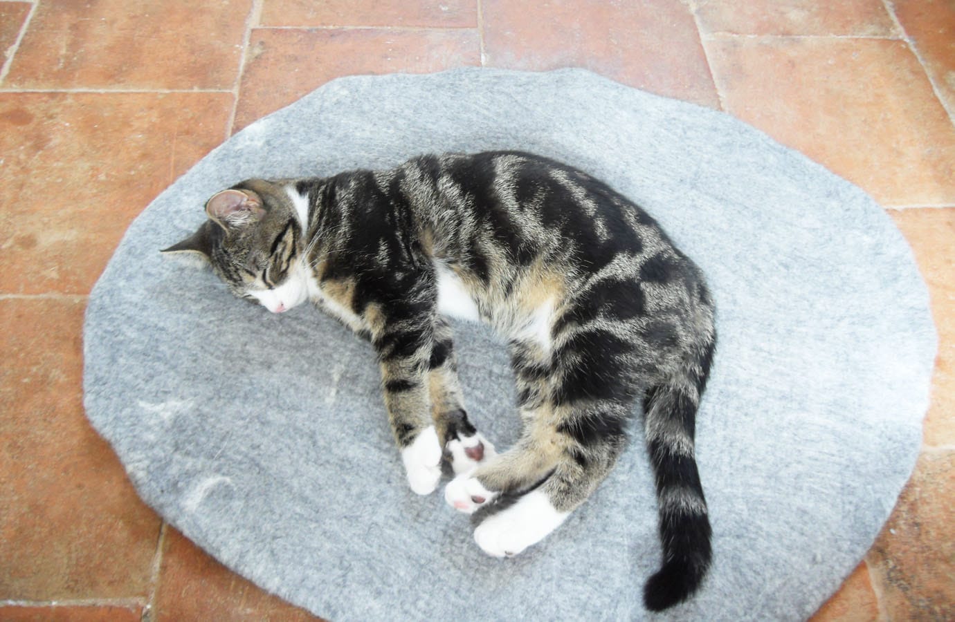 Cat Bed Cat Mat Pet Bed Rug Hand Felted Wool With Free Toy Etsy