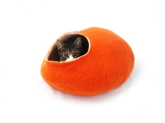pumpkin cat bed