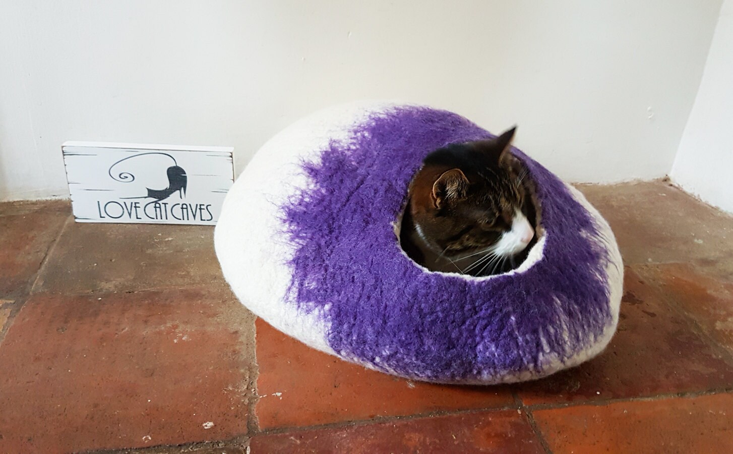 large cat igloo