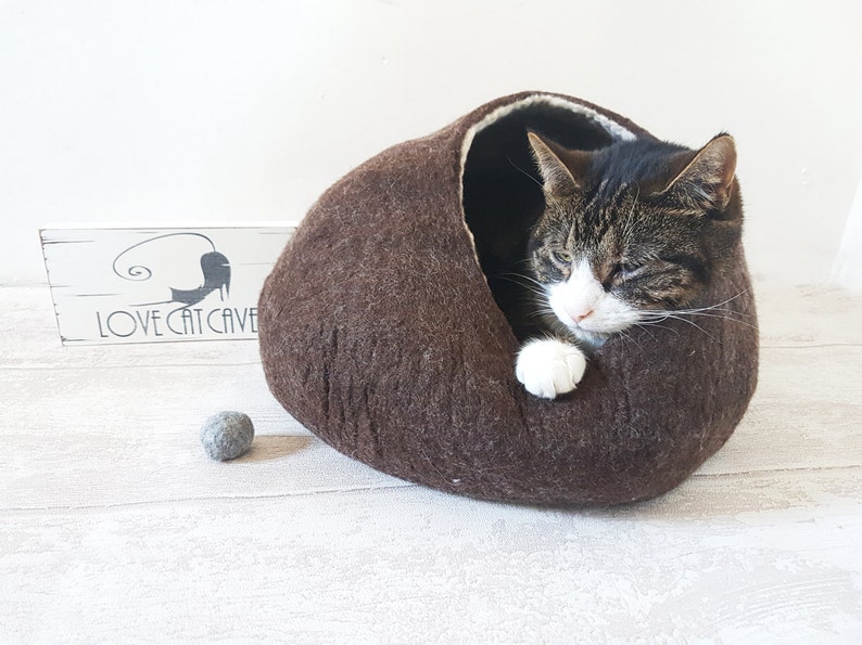 bubble cat bed