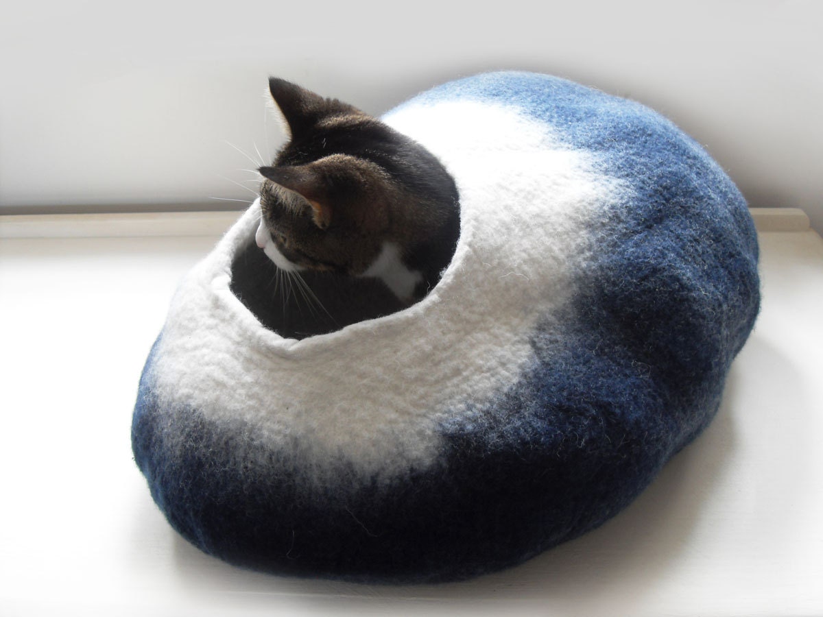 moon cat bed