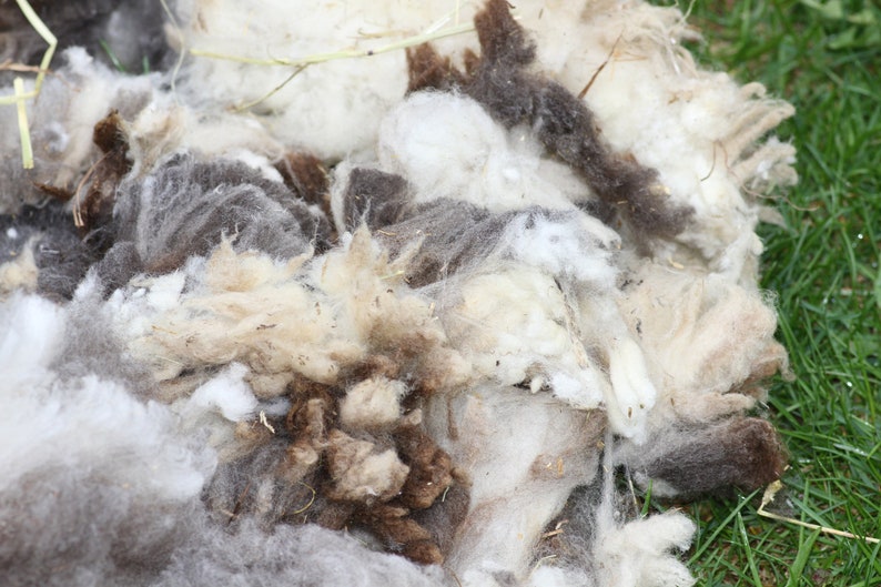 Jacob fleece raw lilac /& white