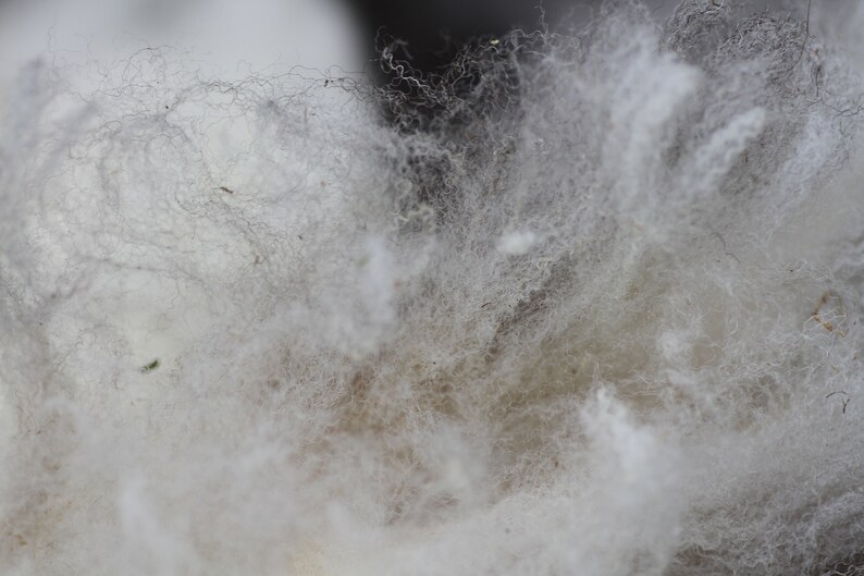 Jacob fleece raw lilac /& white