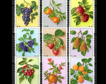 1973 Vintage San Marino Postage Stamps / Fruits and Berries / Strawberry, Apple, Plum, Grape, Apricot, Peach, Pear, Red Currant, Gooseberry