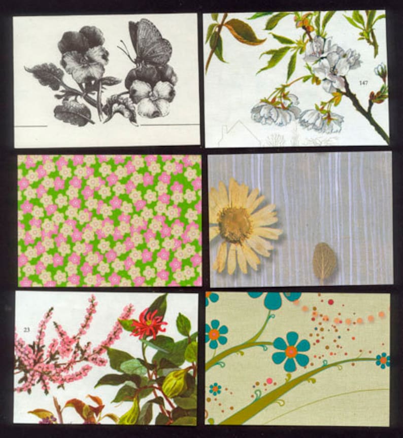 Nature Artist Trading Card Backgrounds Precut and Ready To Go!