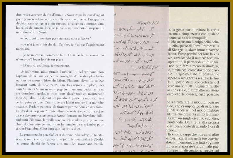 Worldwide Foreign Language Book Pages / French, Dutch, Greek, Italian, Russian, Estonian, Korean, Etc. / Collage Package, Decoupage Material image 7