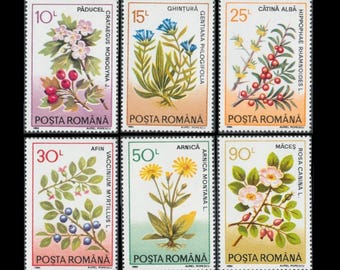 Medicinal Plants on Vintage Postage Stamps / Hawthorn, Dog Rose, Arnica, Ghentian, Bilberry, Sea Buckthorn / Nature Journal, Decoupage Art