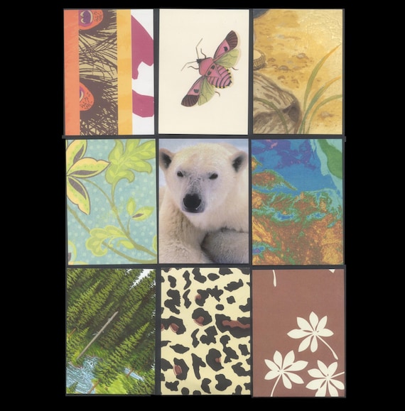 Nature Theme Artist Trading Card Backgrounds / Precut and Ready to
