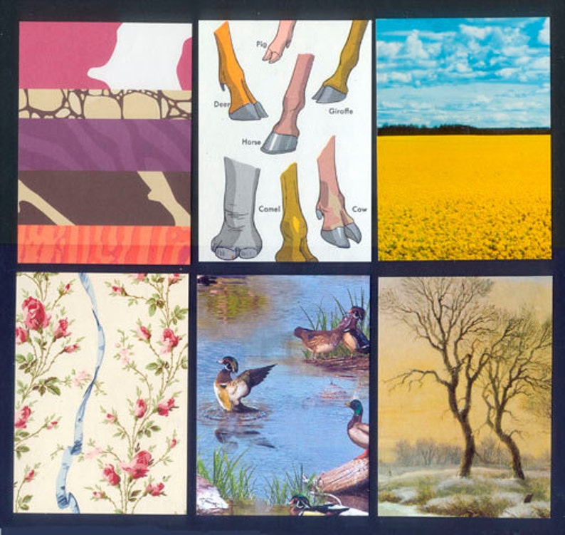 Nature Artist Trading Card Backgrounds Precut and Ready To Go!
