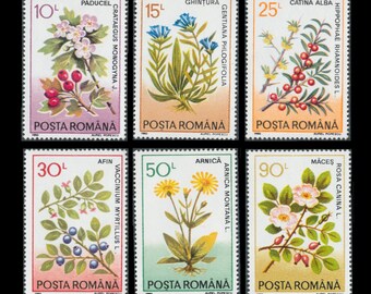 Medicinal Plants on Vintage Postage Stamps / Hawthorn, Dog Rose, Arnica, Ghentian, Bilberry, Sea Buckthorn / Nature Journal, Decoupage