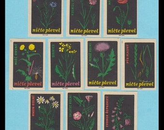 1960 Czechoslovakia Vintage Wildflower Matchbox Labels / Fireweed, Milkweed, Poppy, Cornflower, Thistle, Morning Glory / Collage Material