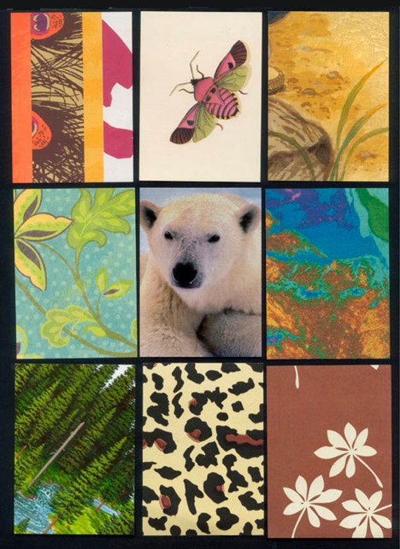 Nature Theme Artist Trading Card Backgrounds / Precut and Ready to