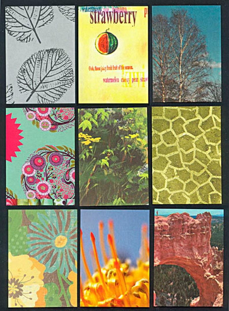Nature Artist Trading Card Backgrounds Precut and Ready To Go!