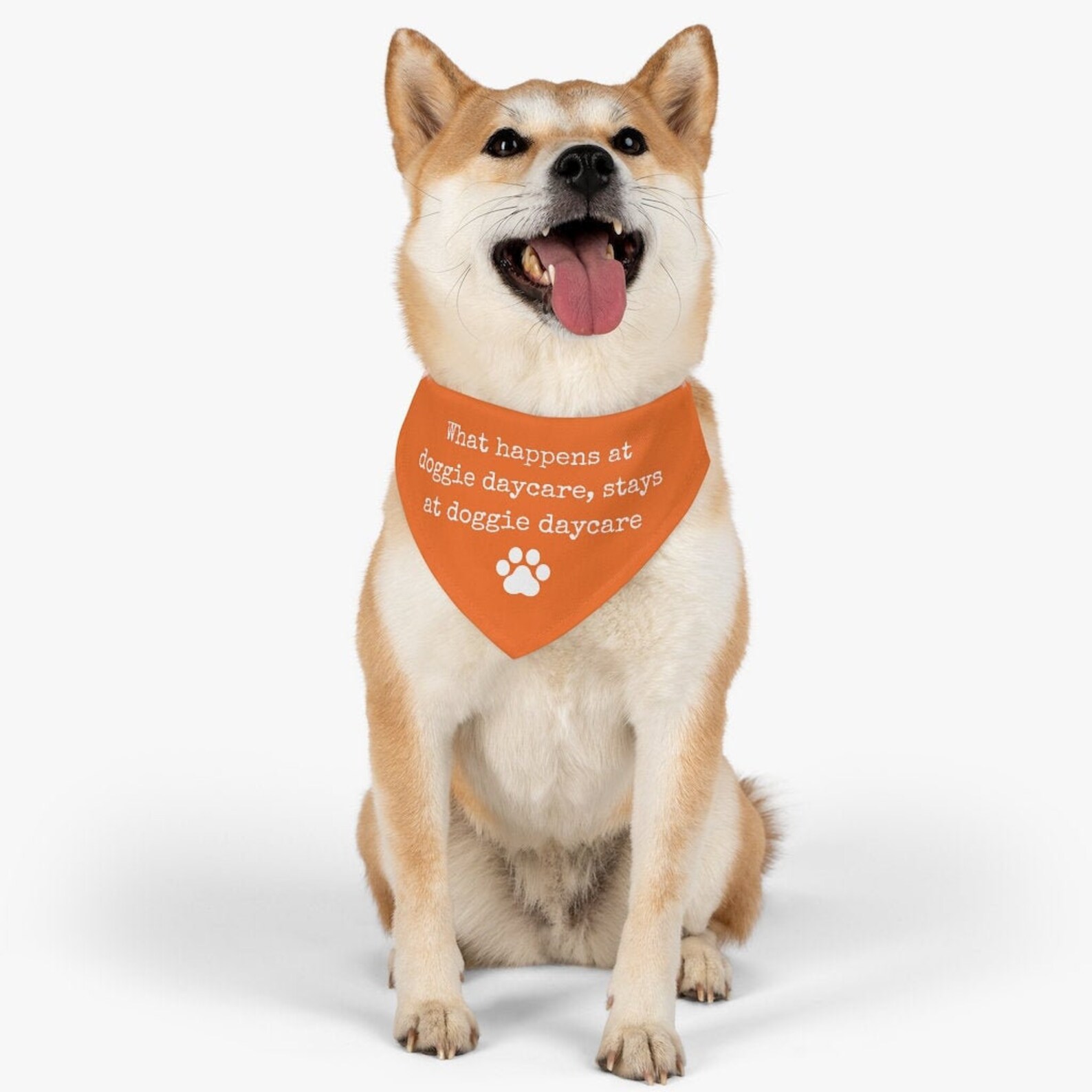 thumbnail image 2 of Sale Dogs Trust Bandana Clearance A Dog Is For Life Bandana Dog Bandana With Paw 2 of 10