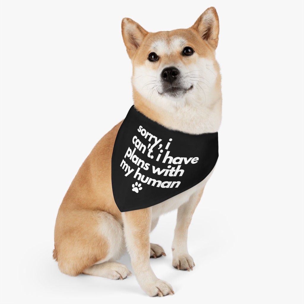 Funny Dog Bandana Sorry I Can t Quote Cute Dog Collar Etsy funny-dog-bandana-sorry-i-can-t-quote-cute-dog-collar-etsy