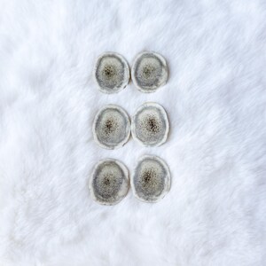 May include: Six circular slices of deer antler arranged in two vertical columns. Each piece features a porous, speckled grey and brown centre surrounded by a smooth, light-coloured outer ring, showcasing the natural cross-section texture.