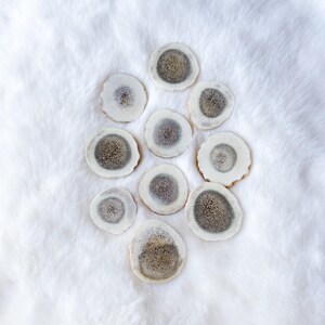 May include: Ten circular slices of deer antler arranged in a cluster. Each piece features a smooth, creamy white outer ring surrounding a porous, textured centre in shades of grey, brown, and tan, showcasing the natural cross-section of the bone.