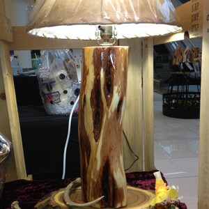 Table Lamp Made With Diamond Willow - Etsy