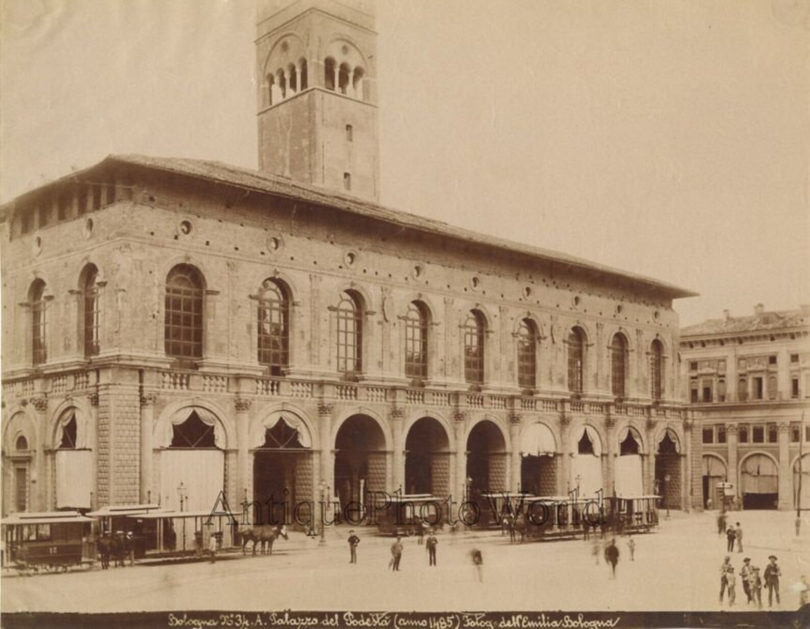 Palazzo Del Podesta Bologna Emilia Horse Carriages Antique Etsy