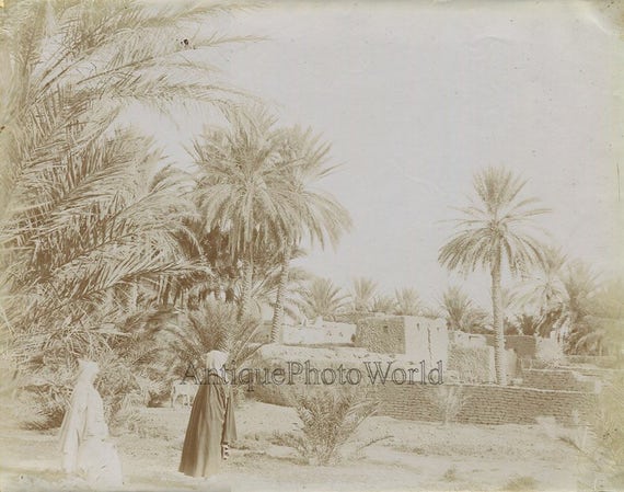 Biskra Algeria street scene antique albumen photo Africa