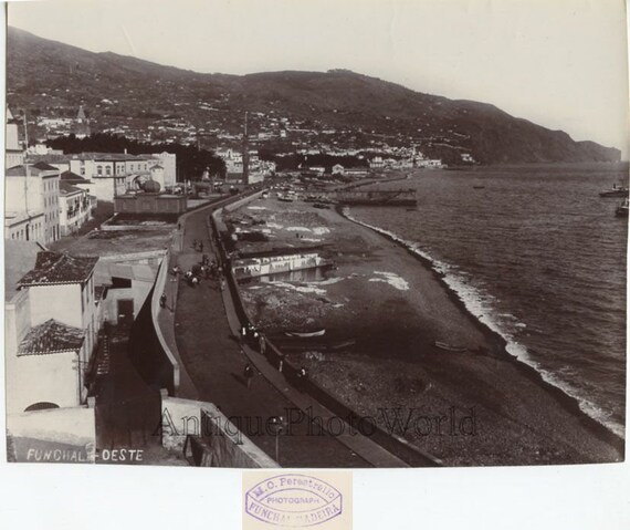 Funchal Oeste rivage voir antique photo Madeira Portugal - Etsy France