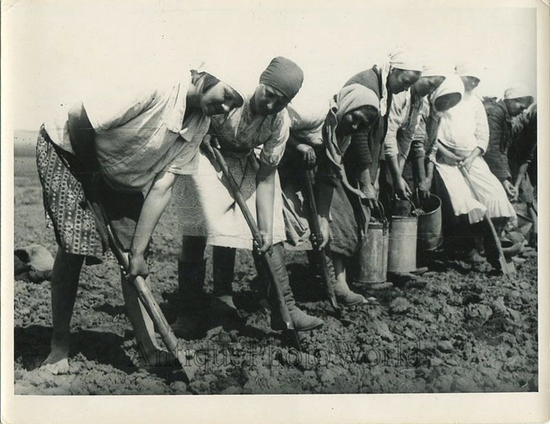 Russian women peasants with shovels antique photo