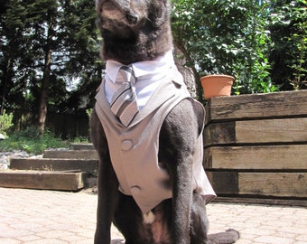 Custom Wedding Dog Tuxedo Suit - Best Dog - Pick your color - custom sizing - White Shirt - Choice of Tie included - rush shipping available