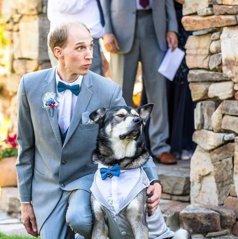 Custom Wedding Dog Tuxedo Suit Best Dog Pick your color custom sizing White Shirt Choice of Tie included rush shipping available image 5