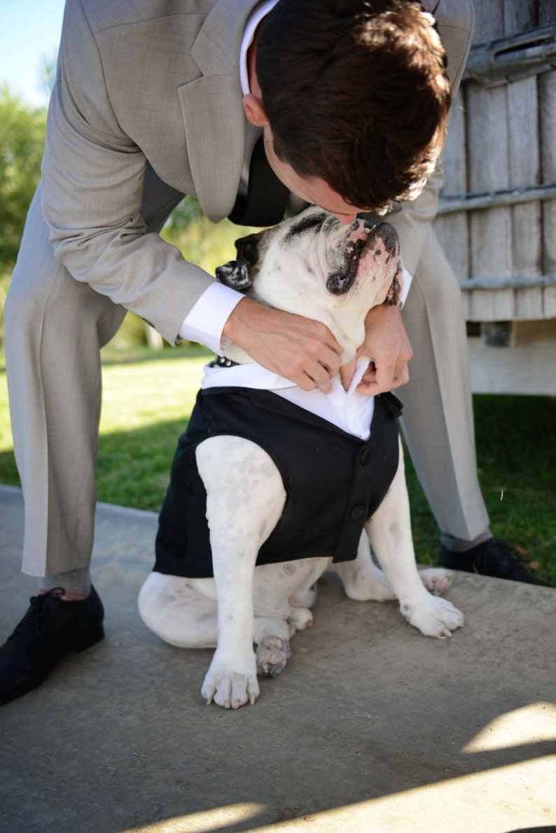 Black Dog Tuxedo Custom Sizing Choice of Tie Included Etsy