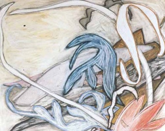 Cotyledon Pastel Drawing
