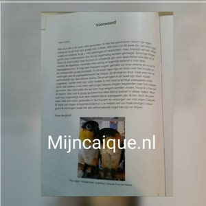 Puede incluir: Una portada de libro con una foto de dos caiques de cabeza negra, un tipo de loro, con el texto "Mijncaique.nl" y las palabras "Mis propios compañeros de casa caiques de cabeza negra Finn y Nemo" en la parte inferior.