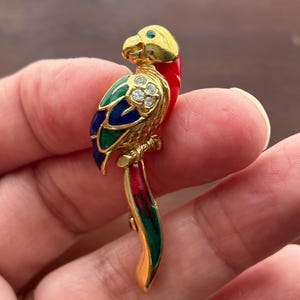 Attwood Sawyer Parrot - Etsy