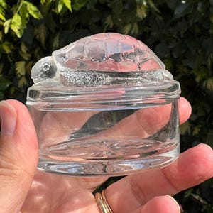 May include: A clear glass trinket box with a circular base and a lid featuring a molded turtle figure on top. The glass has a smooth, transparent finish, and the base of the container displays a subtle starburst pattern etched into the bottom surface.