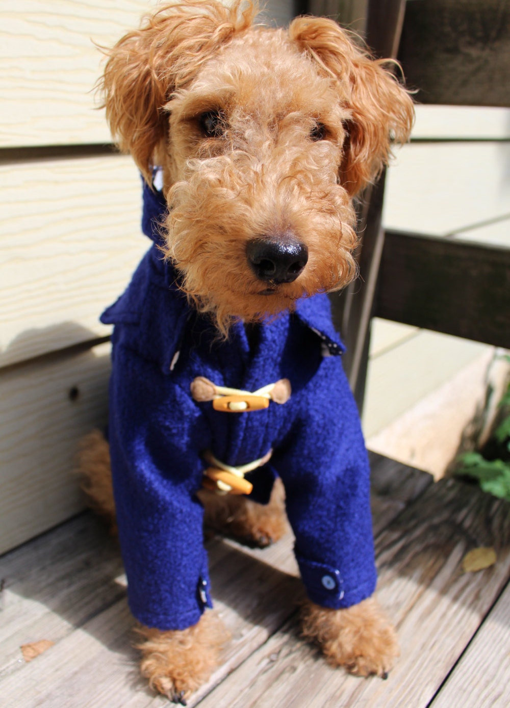dog duffle coat