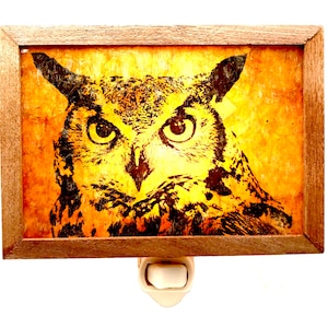 Owl Mica Night Light - Handmade - Whimsical Lighting - Animals - Great Horned Owl