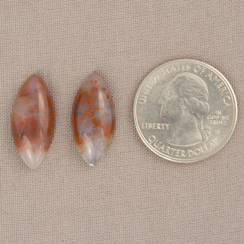 Red Moss Agate Cabochon Pair Oregon