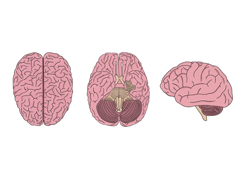 Neuro Digital Print - Etsy