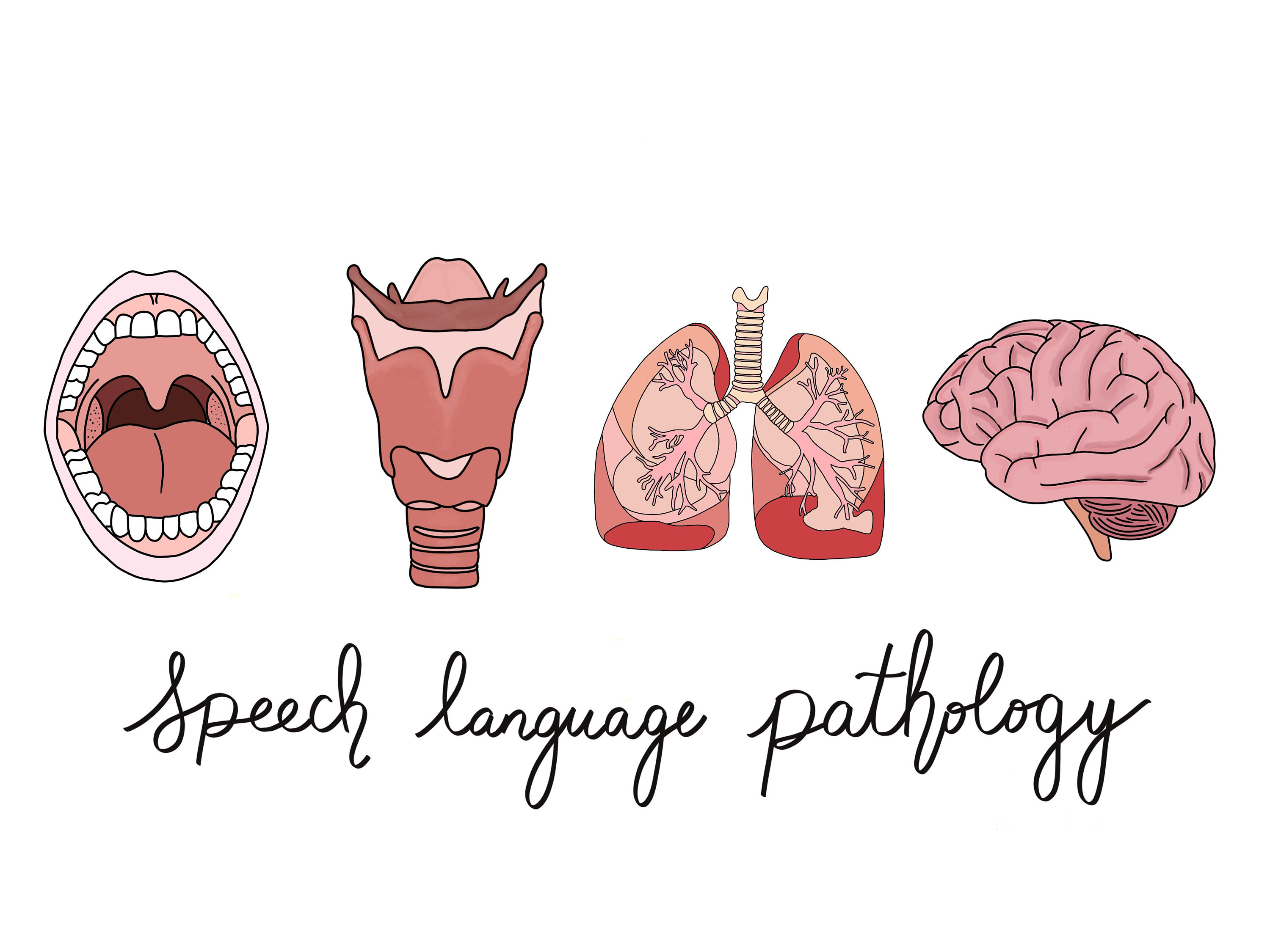 speech language pathology board