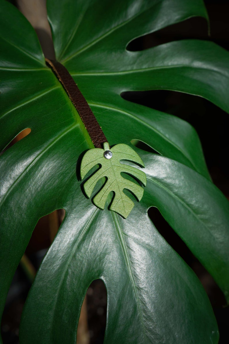 Monstera Leaf Bookmark / Plants / Handcrafted / Recycled - Etsy