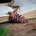 see more listings in the Leather Bookmarks section