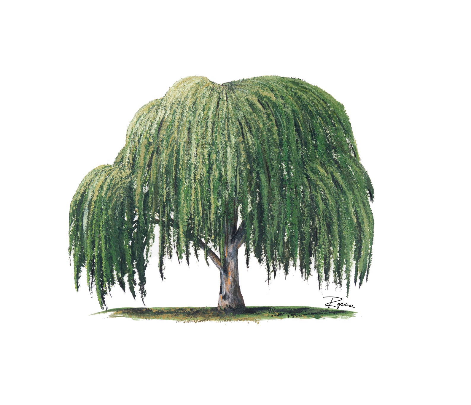 Impresión de árbol de sauce lloreño pintado a mano en Giclee Etsy