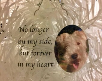 Pet Remembrance  Ornament