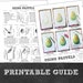 Pastel Activity: How to Use Pastels Guide, Directed Drawing, Art Lesson ...