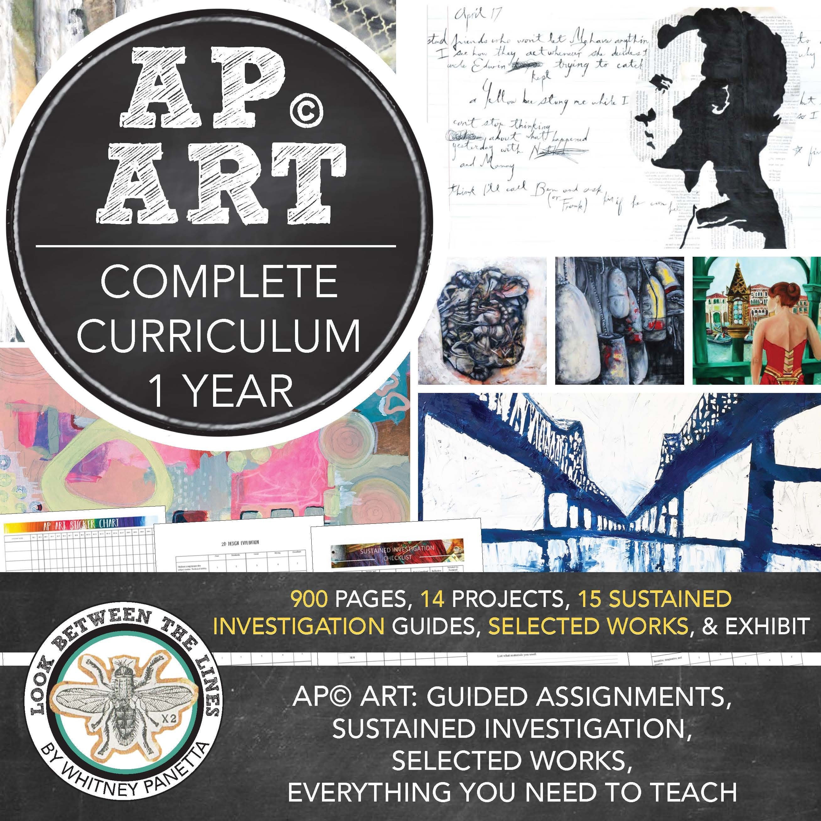 AP® Art & Design, Studio Art Sustained Investigation, Selected Works AP® Art