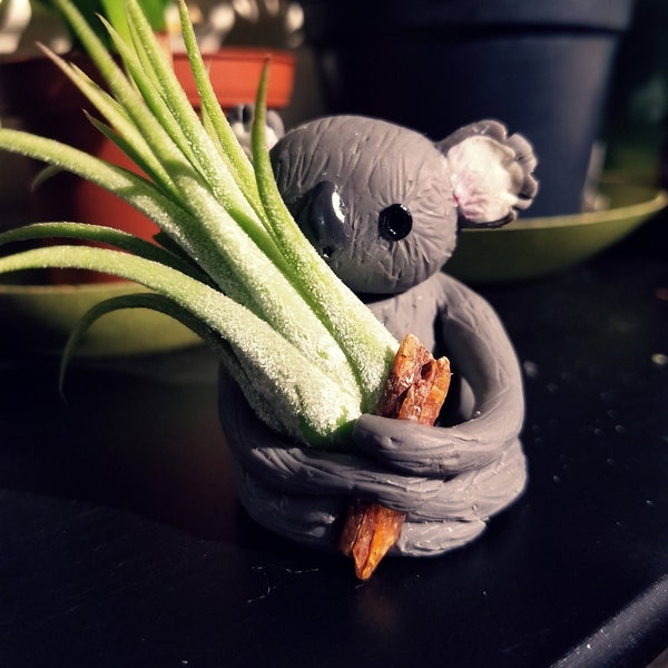 Baby Koala Bear Air Plant Holder - Polymer Clay Sculpture