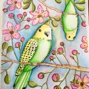 PARAKEETS from Coloring Dreams COLORING BOOK