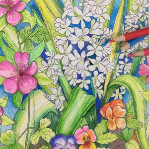 FLOWER GARDEN from Coloring Dreams Coloring Book