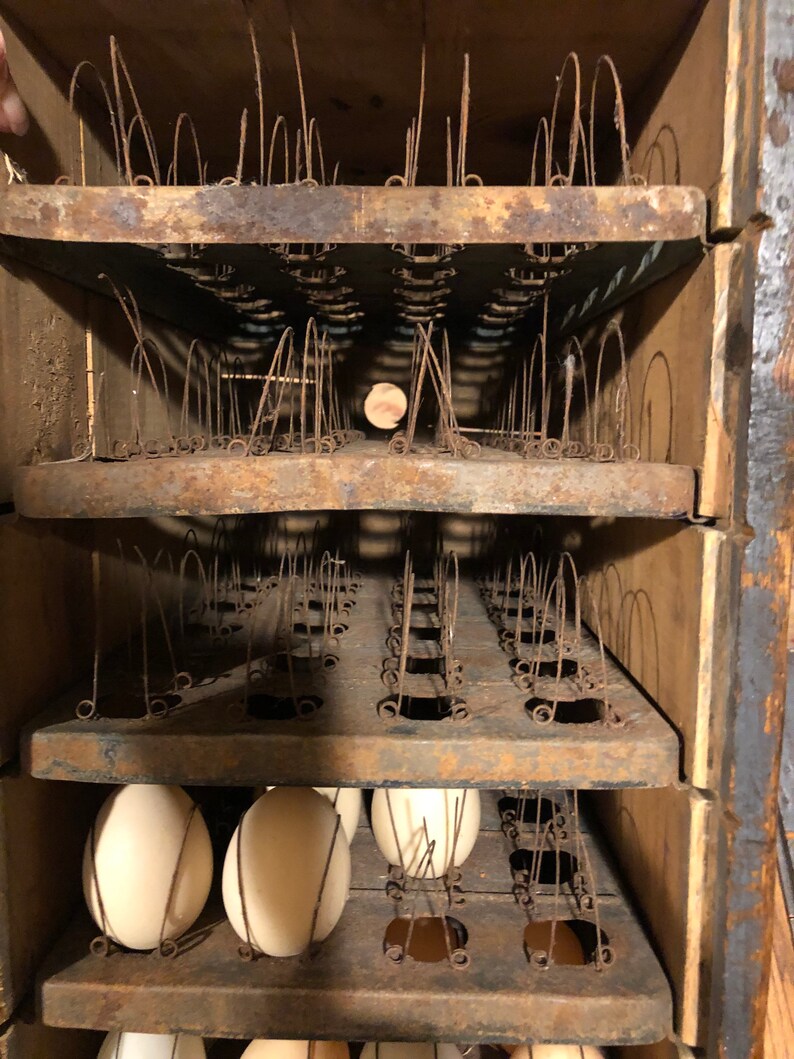 Antique 1897 Wooden Egg Carrier Hillsboro Mfg Co. Original Etsy