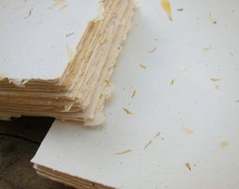 Calendula Flower Petal paper sheets / Handmade paper for craft / Recycled paper stationery / Decorative collage paper / Textured paper / DIY